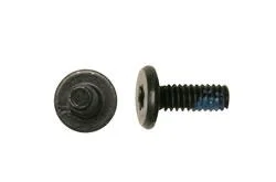 SCREW,M2X5.5,4.5D,T6,PK/5