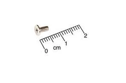 Screw, Wafer, 2 x 0.45 x 5.5